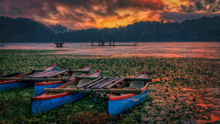 Boats grass lake cloudy sunset - top of a grass free wallpaper for desktop