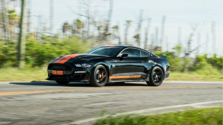 Black sports car driving forest 3 - a black sports car free wallpaper for desktop