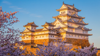 Tower purple flowers autumn japan - japan eishōsai chōki free wallpaper