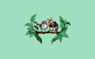 Birds branch leaves bamboo cactus - two bird free wallpaper