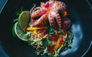 Octopus lime salad planet stilllife - a plate of food free wallpaper