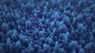 Blurry blue fractals nature tree - fractal free wallpaper for desktop