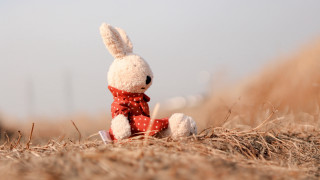 Stuffed rabbit red bowtie dry - dry free wallpaper