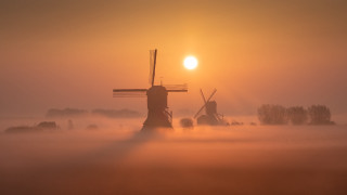Windmill fog sun trees mist - mist free wallpaper for desktop