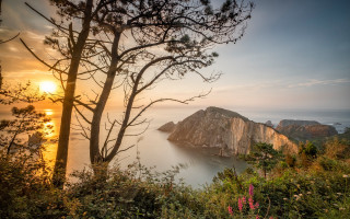 Lake mountain sunset trees forest - arthur b. carles free wallpaper