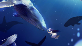 Girl whale dolphin fish underwater - a fish free wallpaper