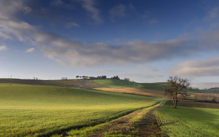 Green field lone tree house - correggio free wallpaper