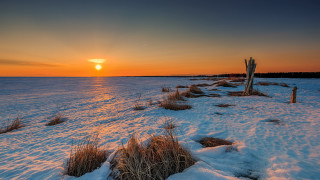 Sunset water snow grass fence - flora macdonald reid free wallpaper for desktop