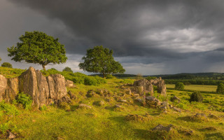 Field tree rocks cloudy rainbow - a dark cloud in the sky free wallpaper