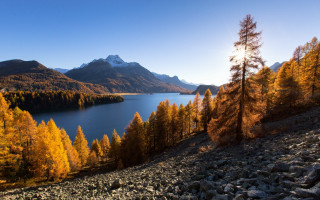 Lake mountains trees autumn sunset 2 - a few yellow leaf free wallpaper
