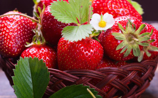 Basket strawberries flower leaf stilllife - a basket of strawberries free wallpaper