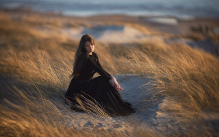 Woman black dress field sunset - her knee free wallpaper for desktop