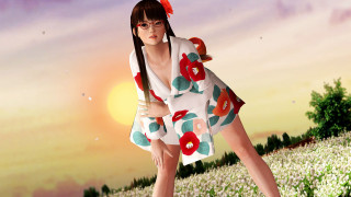 Woman dress hat flower field - a woman in a dress and hat free wallpaper