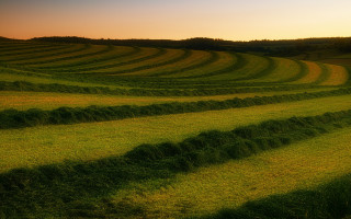 Sunset field grass trees mountains - david begbie free wallpaper