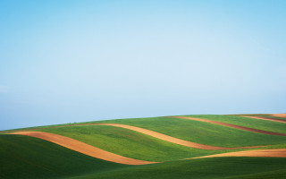 Green field blue sky lone 4 - a green field free wallpaper for desktop