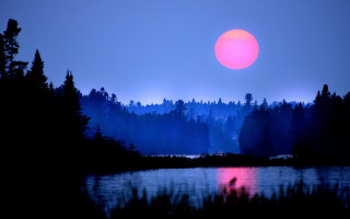 Sunset lake trees moon sky - a sunset over a lake free wallpaper for desktop
