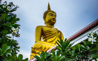 Golden buddha garden trees white - a statue free wallpaper