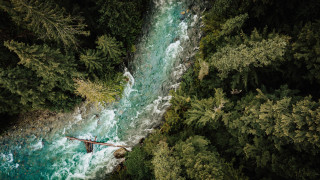 River forest raft sunlight nature - a raft free wallpaper