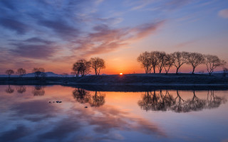 Sunset clouds trees water ducks - choi buk free wallpaper