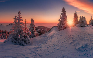 Sunset snowy mountain trees ice - a sunset over a snowy mountain free wallpaper