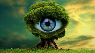 Green eyeball tree surreal sky - a surrealist sculpture free wallpaper