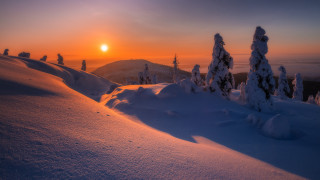 Sunset snowy mountain forest horizon - a sunset over a snowy mountain free wallpaper