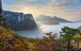 Mountain valley foggy forest beach - volumetric light free wallpaper