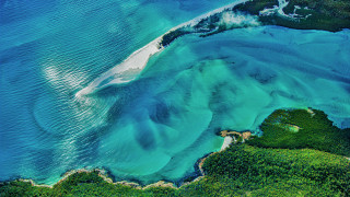 Large water surrounded land trees - a white sand beach free wallpaper
