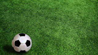 Soccer ball green field plant - a soccer ball free wallpaper