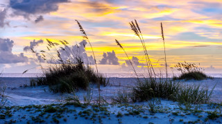 Beach grass sunset clouds dusk - a few cloud free wallpaper for desktop