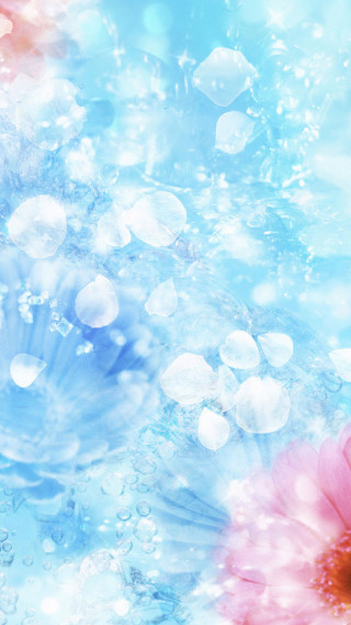 Flower closeup water droplets sky - water droplet free wallpaper for mobile