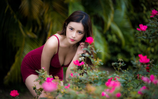 Woman red dress garden pink - du qiong free wallpaper