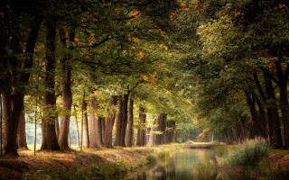 River forest autumn cityscape night - a painting of a river free wallpaper