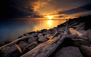 Sunset water branch rocks clouds - crepuscular free wallpaper for desktop