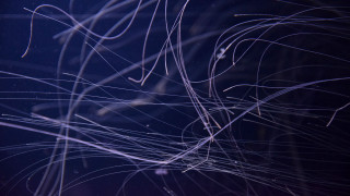 Cellphone blurry background rayonism bioluminescence - screen free wallpaper