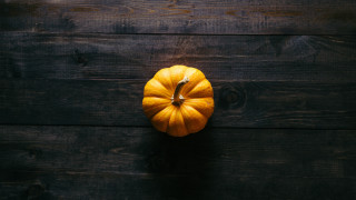 Small pumpkin wooden table knife - fall vibrancy free wallpaper