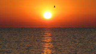 Bird ocean sunset sky mountain - sunrise time free wallpaper for desktop