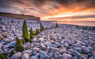 Beach rocks trees sunset cloudy - a red sky in the background free wallpaper