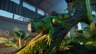 Tropical lizard branch house palm - 8k photorealistic free wallpaper