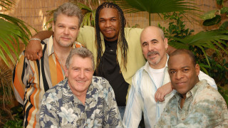 Men group plant wall bamboo - bill lewis free wallpaper