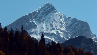 Snow mountain trees blue sky - dürer free wallpaper