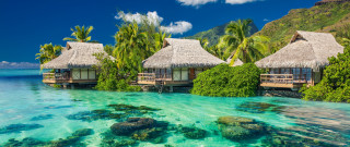 Huts beach ocean trees blue - top of a beach next free wallpaper for desktop