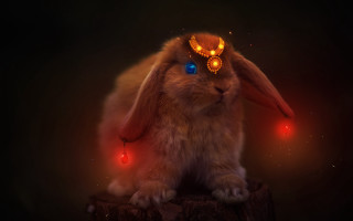 Glowing rabbit fantasy art animal - its head free wallpaper