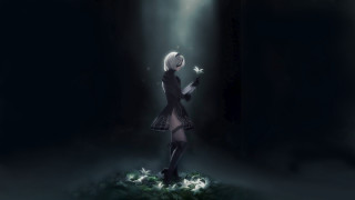 Gothic robotic woman light shadow - nier:automata free wallpaper for desktop