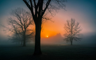 Foggy field trees sunset mountain 2 - a foggy field free wallpaper for desktop