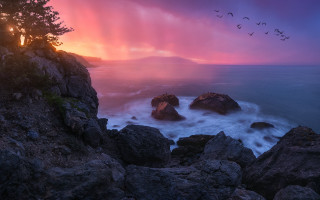 Sunset ocean birds rocks mystical - the cliff free wallpaper for desktop