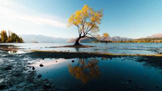 Reflected tree mountains water autumn - david boyd free wallpaper for desktop