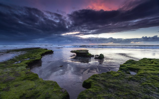 Beach rock formation moss sunset - green moss free wallpaper