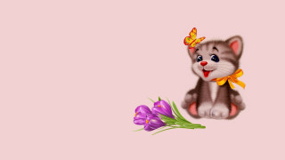 Kitten bow flowers pink background - a kitten free wallpaper