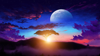 Sunset moon tree clouds beach - a moon in the background free wallpaper